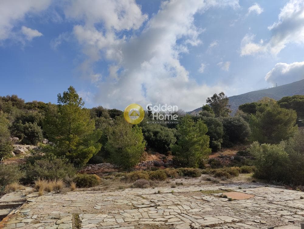 Αγροτεμάχιο στην Καλύβια, Καλύβια Θορικού — Φωτογραφία 3 από 18