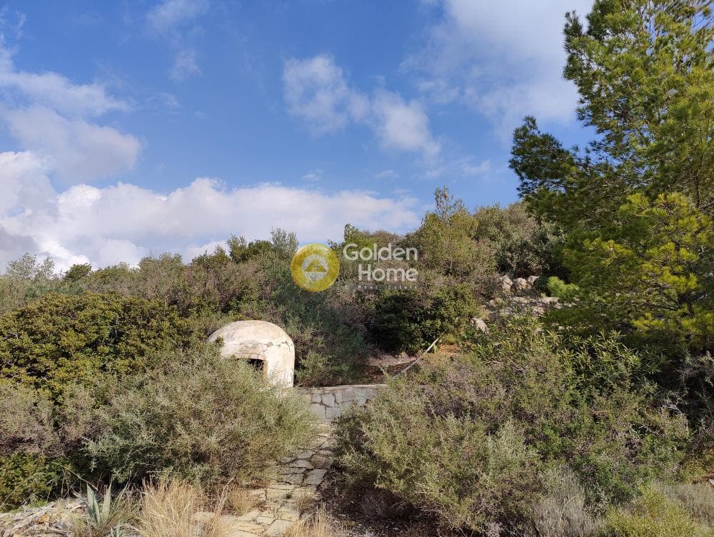 Αγροτεμάχιο στην Καλύβια, Καλύβια Θορικού — Φωτογραφία 4 από 18