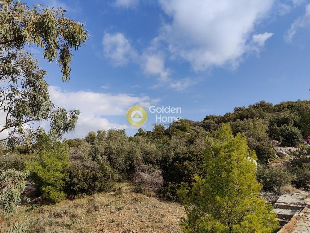 Αγροτεμάχιο στην Καλύβια, Καλύβια Θορικού — Φωτογραφία 5 από 18
