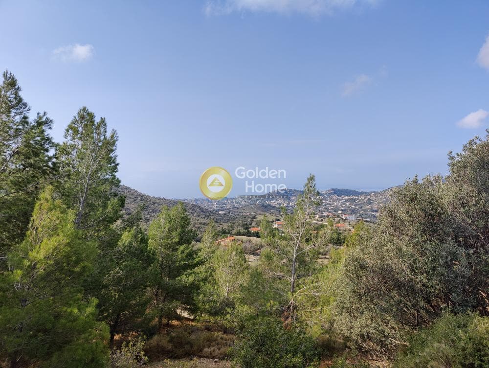 Αγροτεμάχιο στην Καλύβια, Καλύβια Θορικού — Φωτογραφία 7 από 18