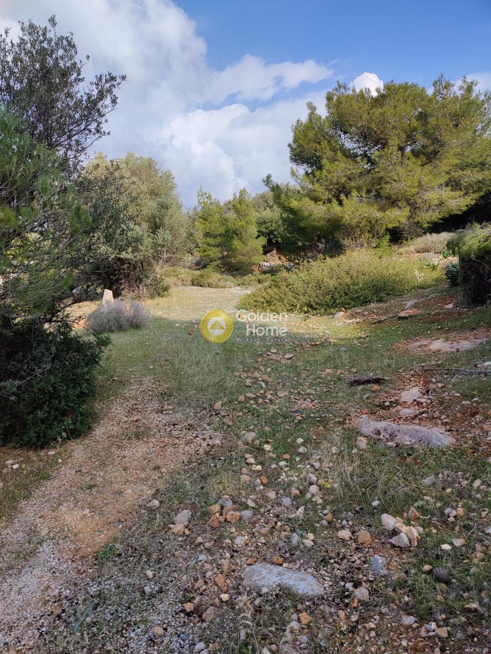 Αγροτεμάχιο στην Καλύβια, Καλύβια Θορικού — Φωτογραφία 10 από 18