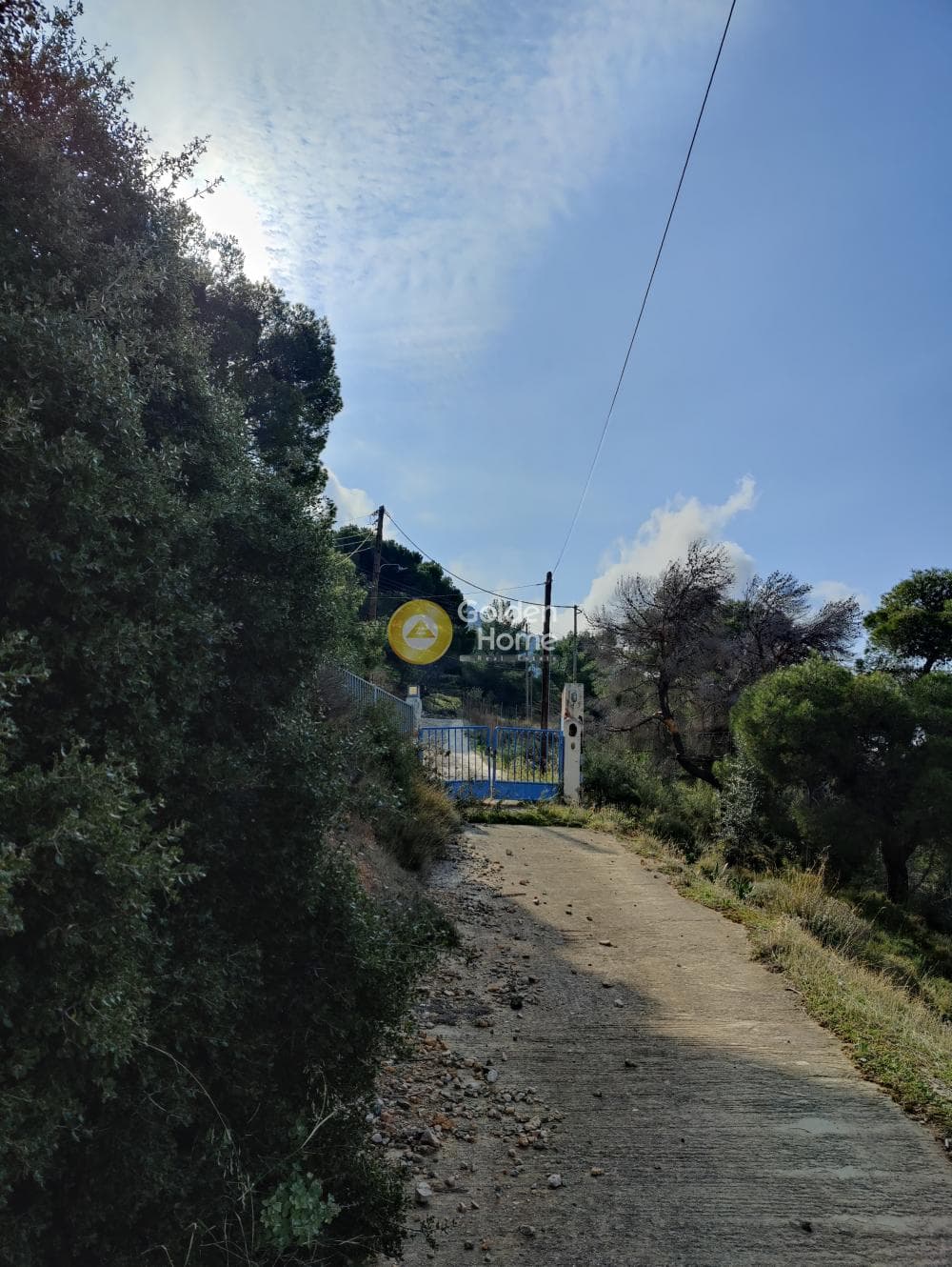 Αγροτεμάχιο στην Καλύβια, Καλύβια Θορικού — Φωτογραφία 11 από 18