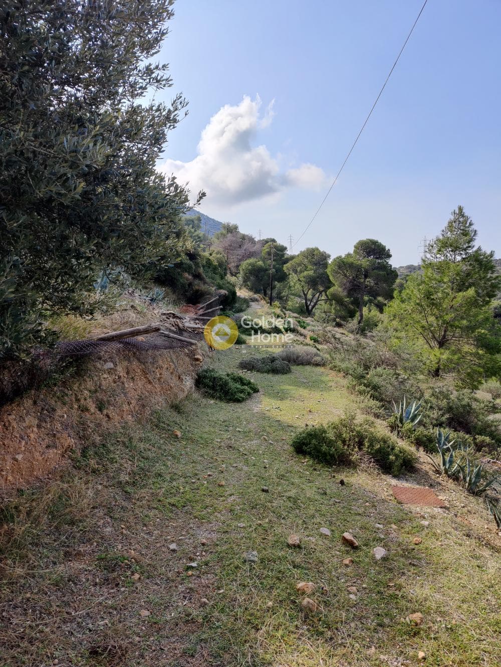 Αγροτεμάχιο στην Καλύβια, Καλύβια Θορικού — Φωτογραφία 12 από 18