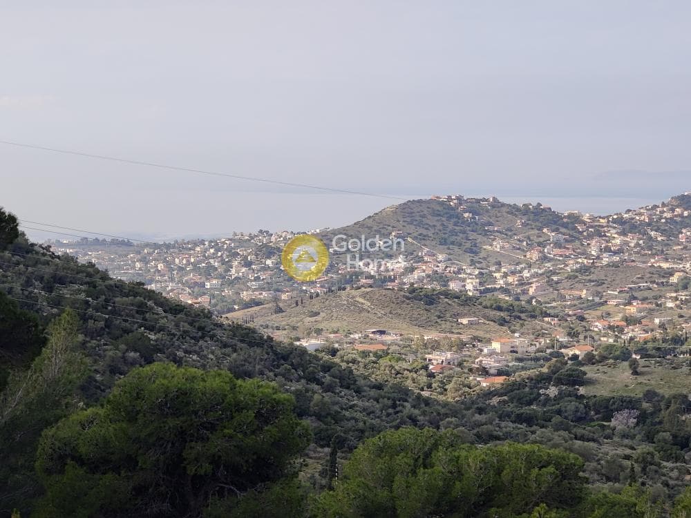 Αγροτεμάχιο στην Καλύβια, Καλύβια Θορικού — Φωτογραφία 14 από 18