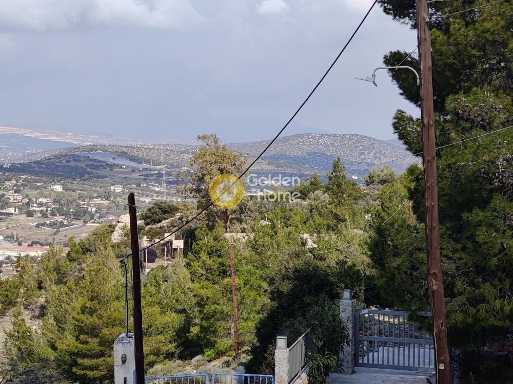 Αγροτεμάχιο στην Καλύβια, Καλύβια Θορικού — Φωτογραφία 15 από 18