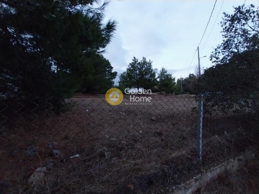 Οικόπεδο στην Ζηρίνειο, Κηφισιά — Φωτογραφία 9 από 14