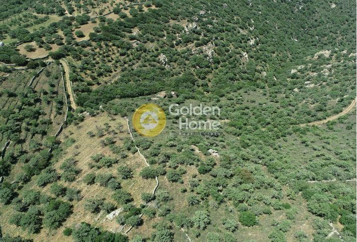 Αγροτεμάχιο στην Ελληνικά, Κέα — Φωτογραφία 11 από 11