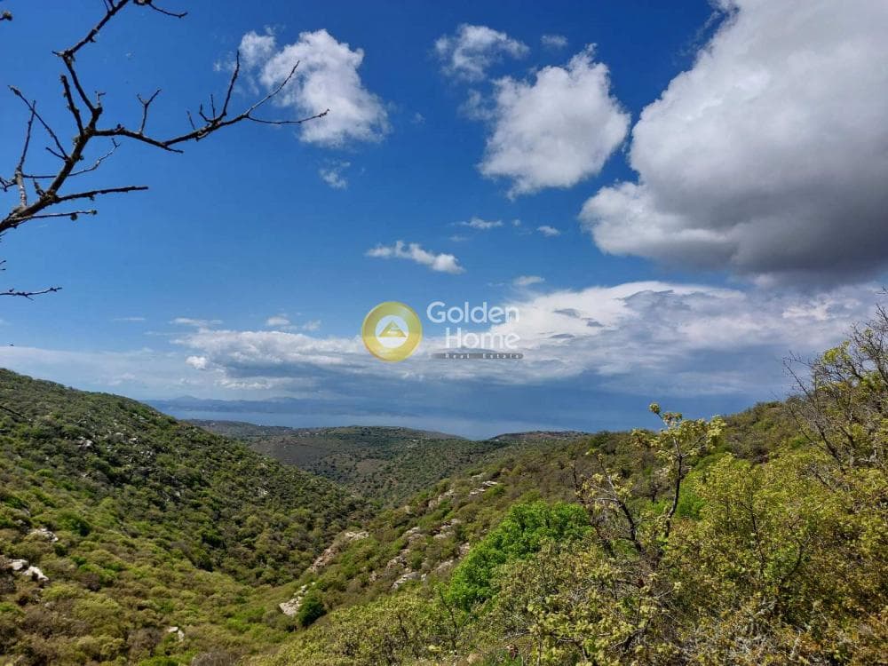 Αγροτεμάχιο στην Ελληνικά, Κέα — Φωτογραφία 3 από 11