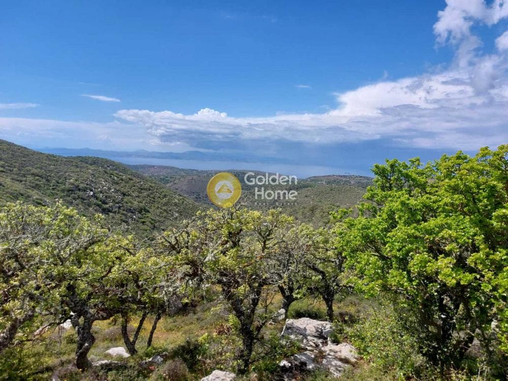 Αγροτεμάχιο στην Ελληνικά, Κέα — Φωτογραφία 4 από 11