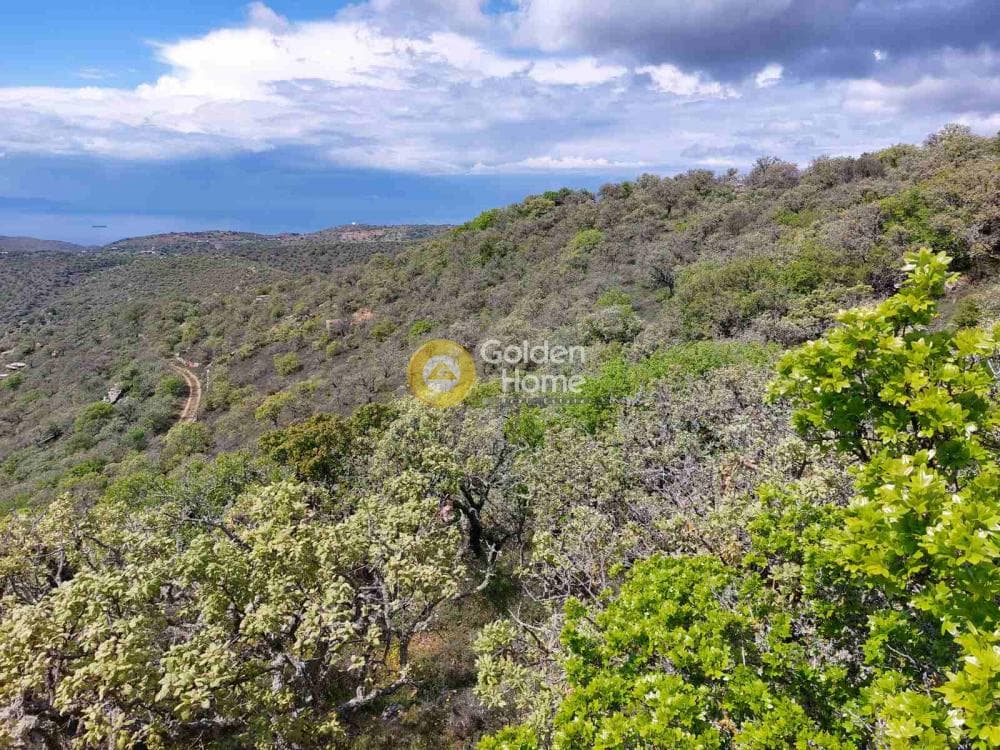 Αγροτεμάχιο στην Ελληνικά, Κέα — Φωτογραφία 5 από 11
