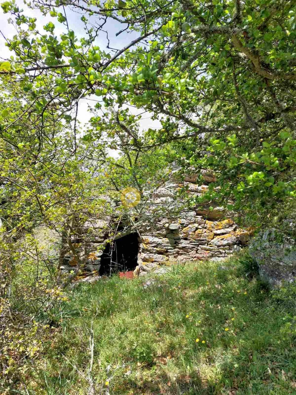 Αγροτεμάχιο στην Ελληνικά, Κέα — Φωτογραφία 6 από 11