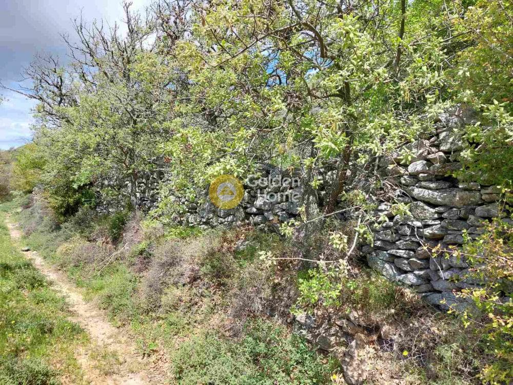 Αγροτεμάχιο στην Ελληνικά, Κέα — Φωτογραφία 7 από 11