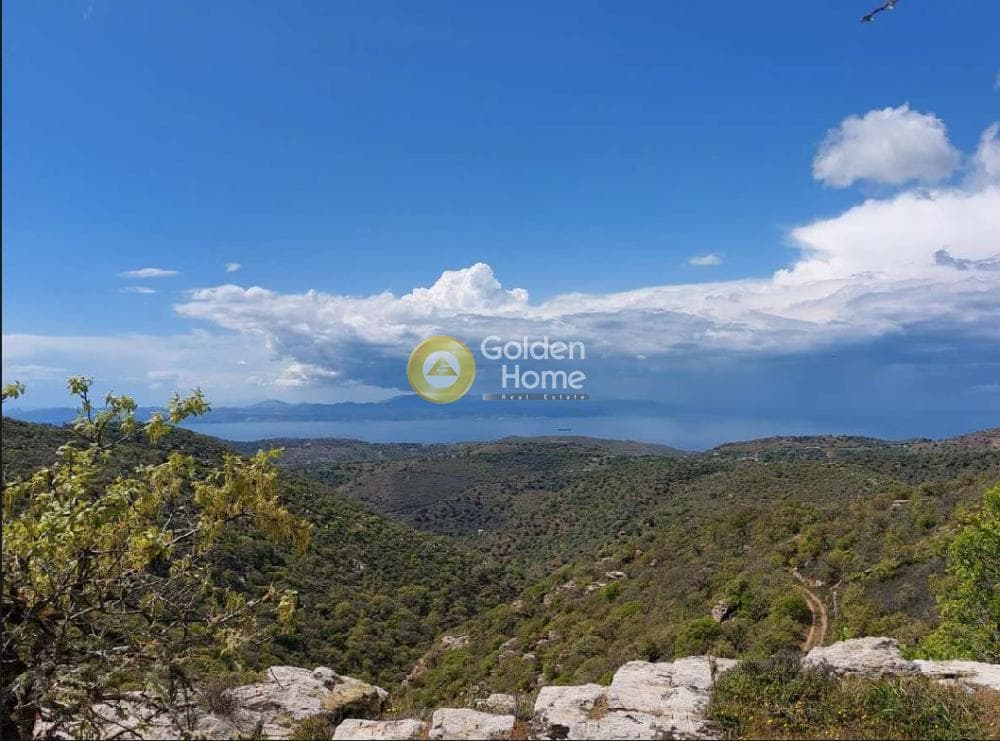 Αγροτεμάχιο στην Ελληνικά, Κέα — Φωτογραφία 2 από 11