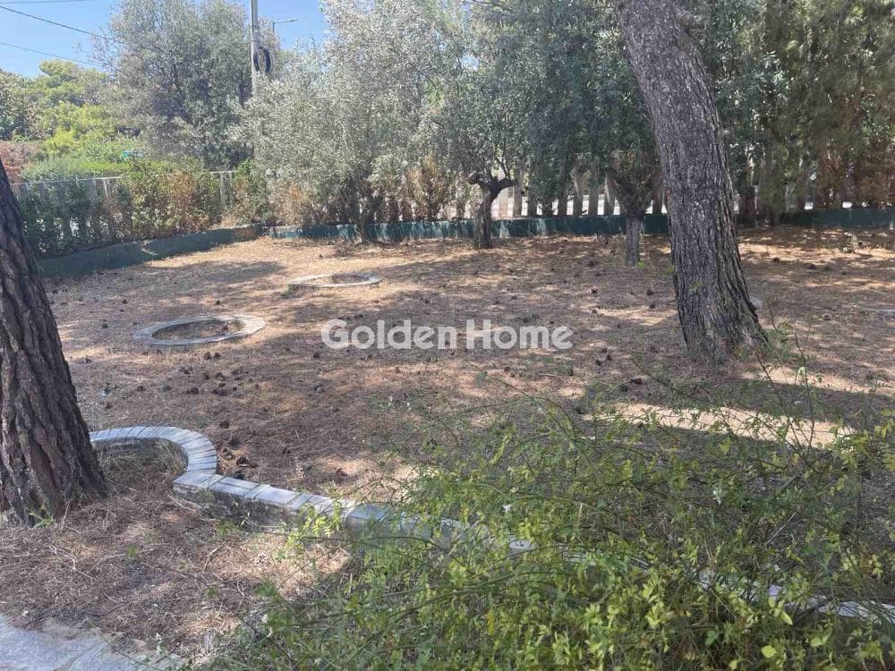 Οικόπεδο στην Μεγάλα Σχοινία Α, Αχαρνές — Φωτογραφία 1 από 5
