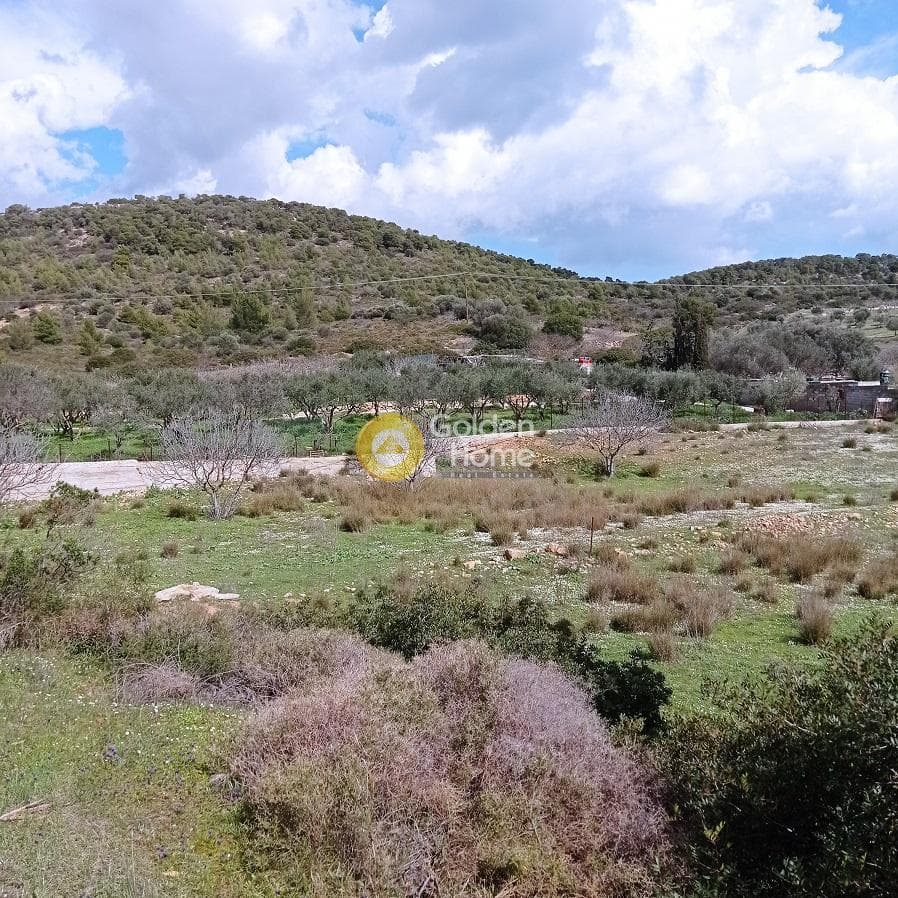 Parcel in Poria, Vravrona — Photo 12 of 12