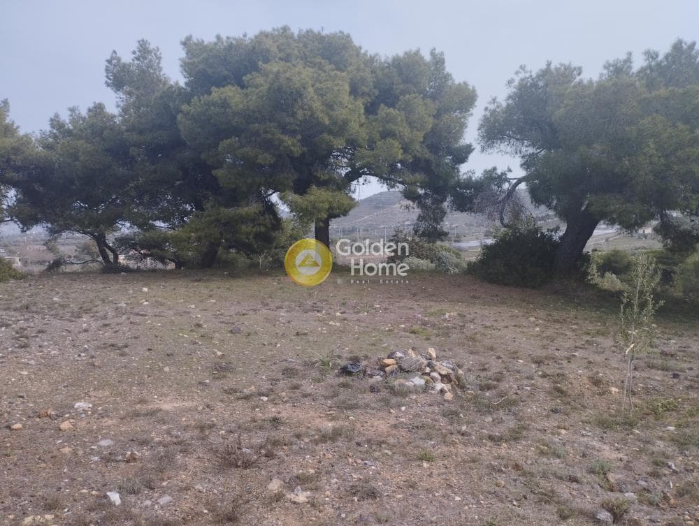Αγροτεμάχιο στην Μανούτσο, Κερατέα — Φωτογραφία 1 από 11