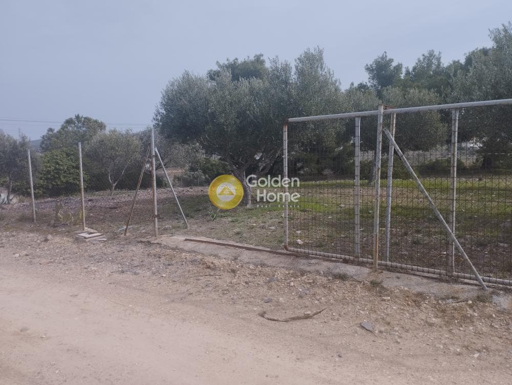 Αγροτεμάχιο στην Μανούτσο, Κερατέα — Φωτογραφία 9 από 11