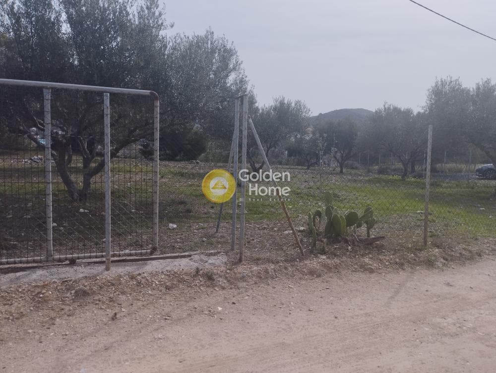 Αγροτεμάχιο στην Μανούτσο, Κερατέα — Φωτογραφία 8 από 11