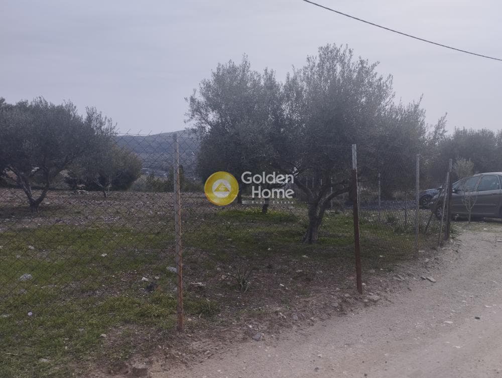 Αγροτεμάχιο στην Μανούτσο, Κερατέα — Φωτογραφία 10 από 11