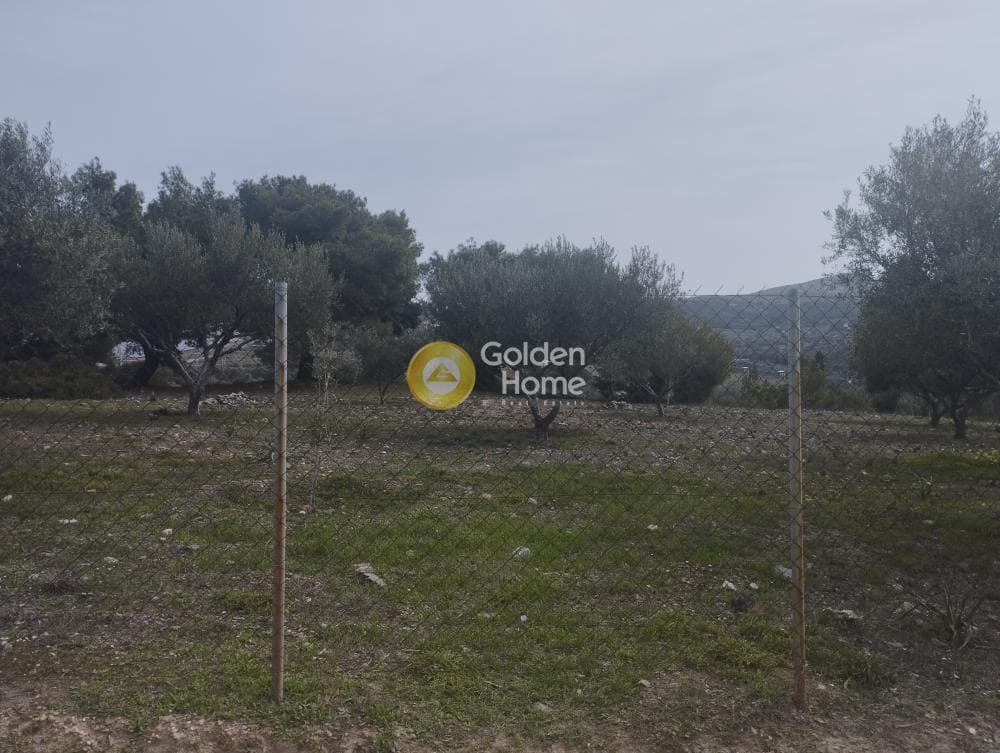 Αγροτεμάχιο στην Μανούτσο, Κερατέα — Φωτογραφία 11 από 11