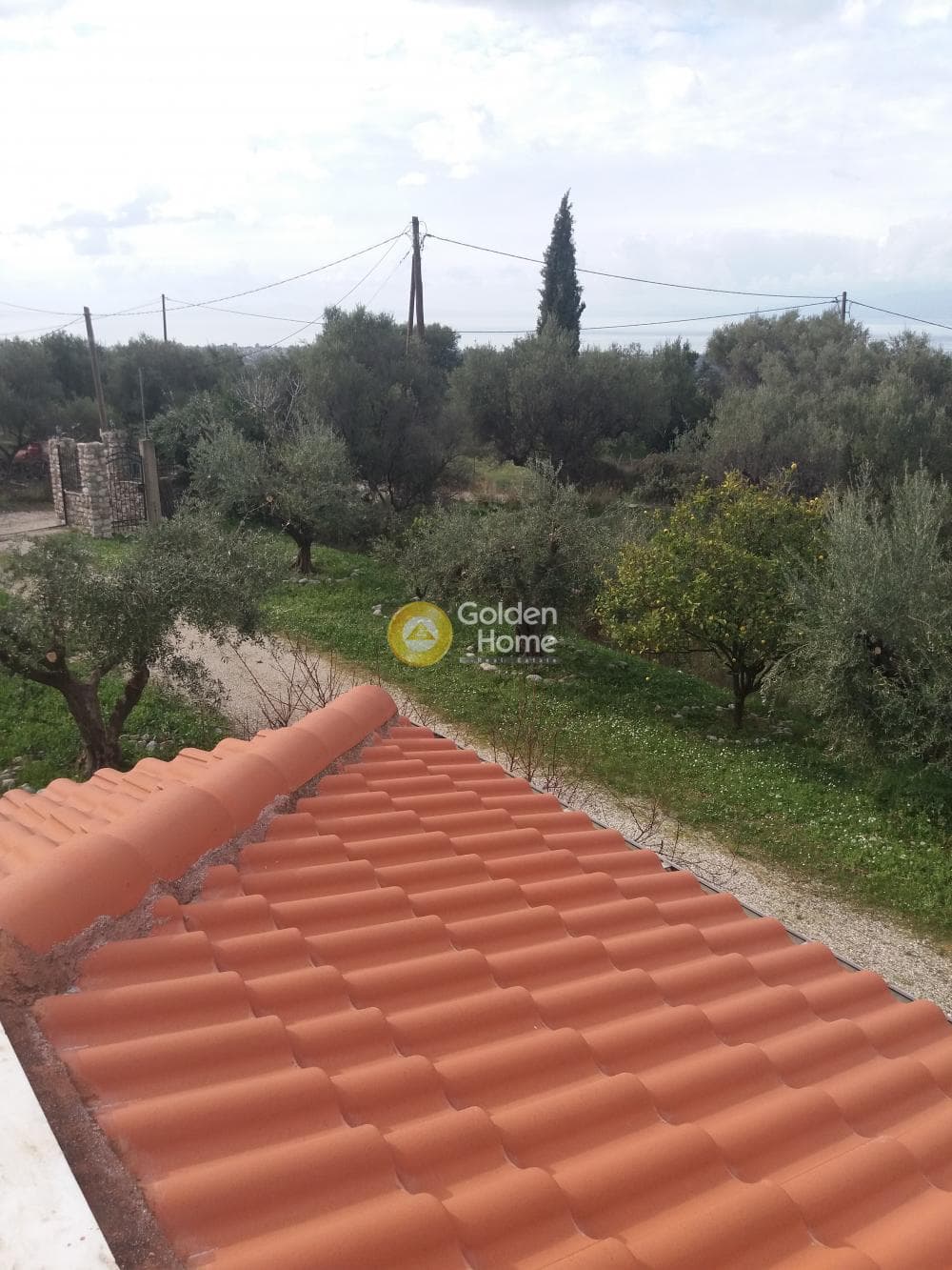Μονοκατοικία στην Κρήνη, Μεσσατίδα — Φωτογραφία 4 από 42