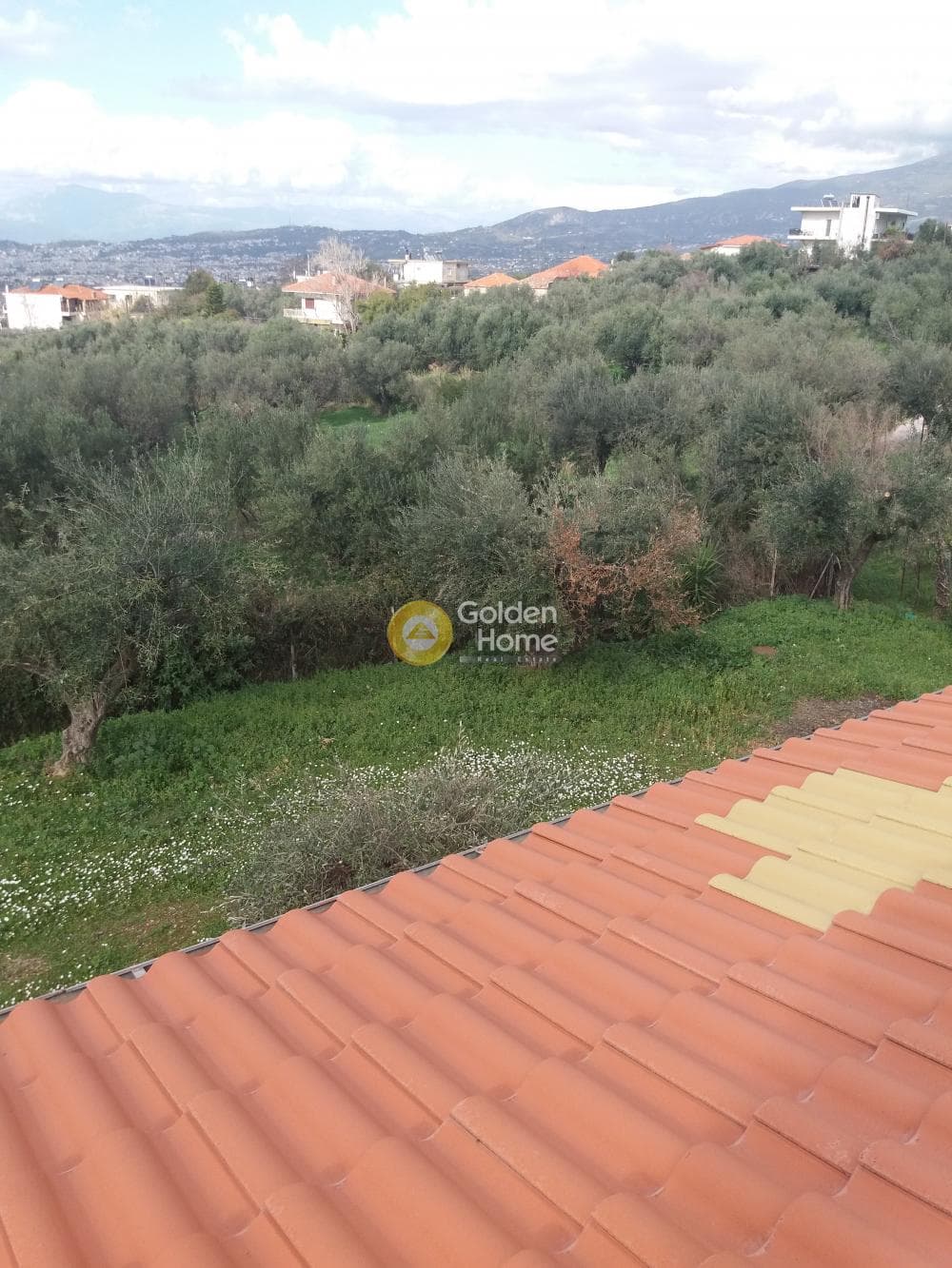 Μονοκατοικία στην Κρήνη, Μεσσατίδα — Φωτογραφία 8 από 42