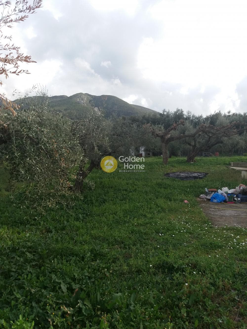 Μονοκατοικία στην Κρήνη, Μεσσατίδα — Φωτογραφία 3 από 42