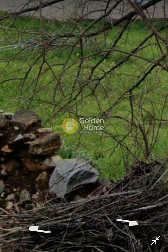 Οικόπεδο στην Κέντρο, Μαραθώνας — Φωτογραφία 4 από 5