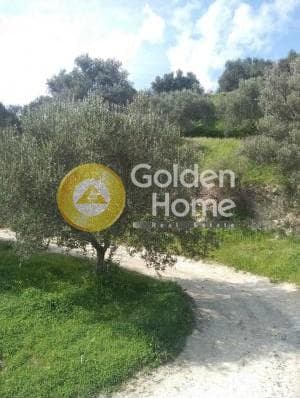 Building Plot in Giofirakia, Temenos — Photo 1 of 2
