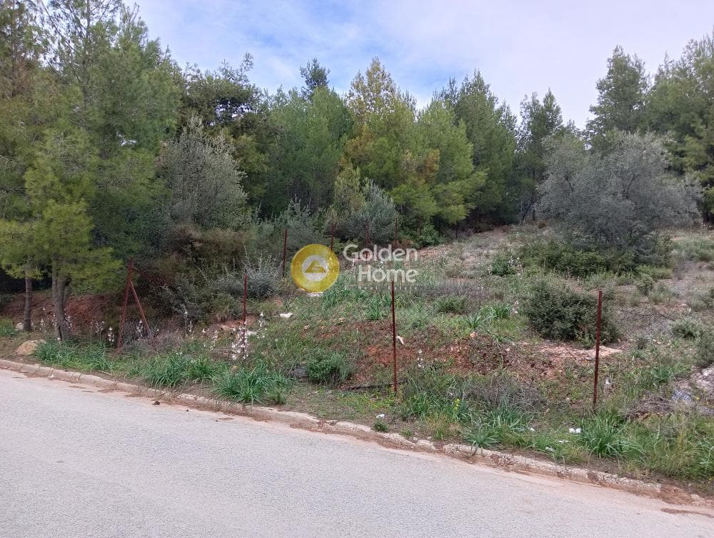 Οικόπεδο στην Δασαμάρι, Πικέρμι — Φωτογραφία 2 από 9
