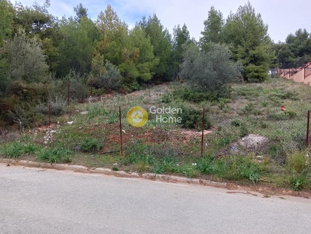 Οικόπεδο στην Δασαμάρι, Πικέρμι — Φωτογραφία 1 από 9