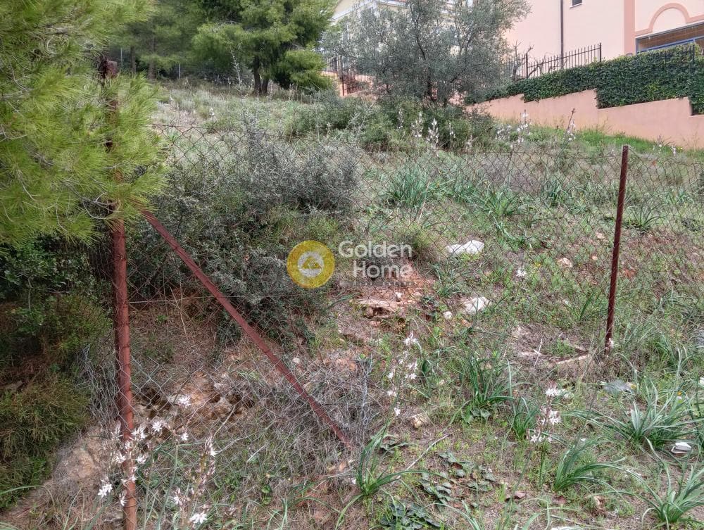 Οικόπεδο στην Δασαμάρι, Πικέρμι — Φωτογραφία 8 από 9