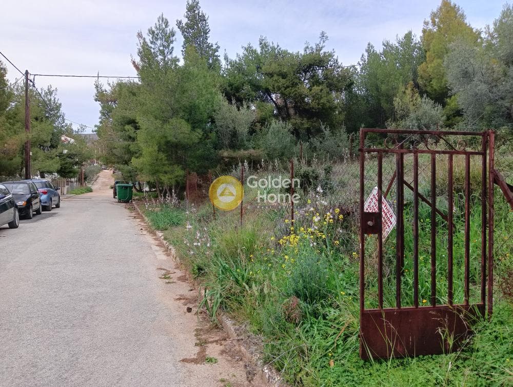 Οικόπεδο στην Δασαμάρι, Πικέρμι — Φωτογραφία 6 από 9