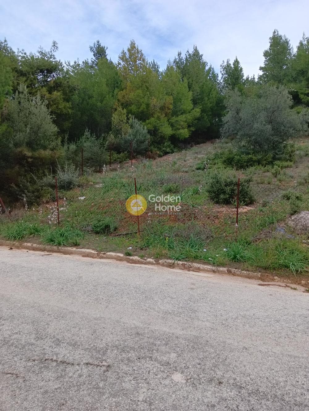 Οικόπεδο στην Δασαμάρι, Πικέρμι — Φωτογραφία 4 από 9