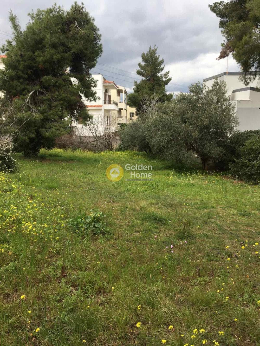 Οικόπεδο στην Δροσιά, Δροσιά — Φωτογραφία 2 από 3
