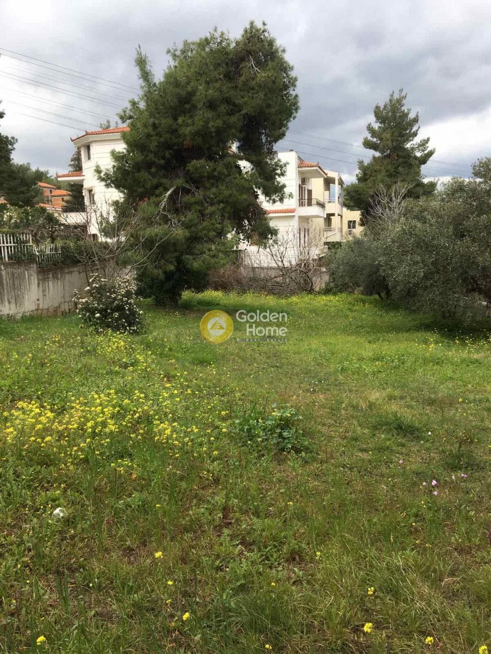 Οικόπεδο στην Δροσιά, Δροσιά — Φωτογραφία 1 από 3