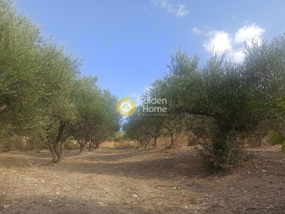Οικόπεδο στην Κόκκινος Πύργος, Τυμπάκι — Φωτογραφία 2 από 7