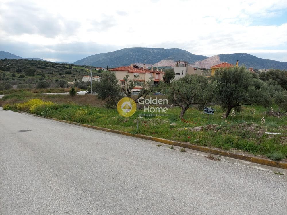 Building Plot in Center, Markopoulo — Photo 20 of 20