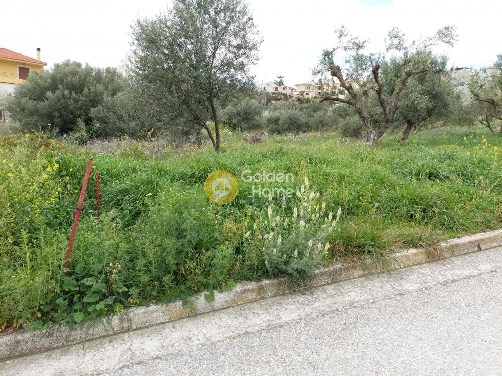 Building Plot in Center, Markopoulo — Photo 2 of 20