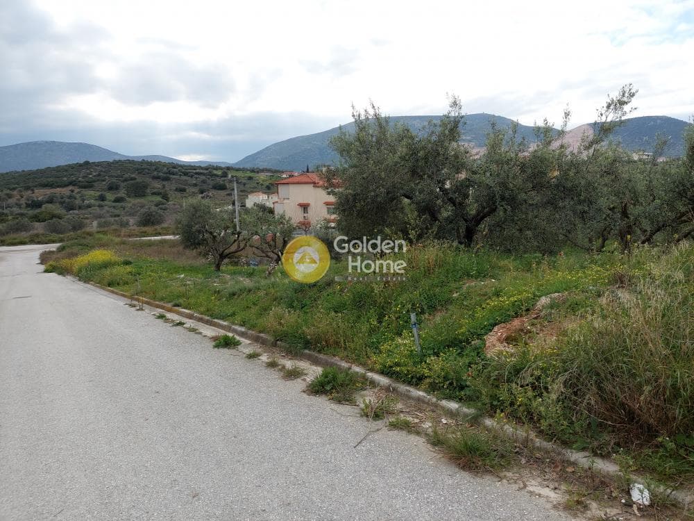 Building Plot in Center, Markopoulo — Photo 3 of 20