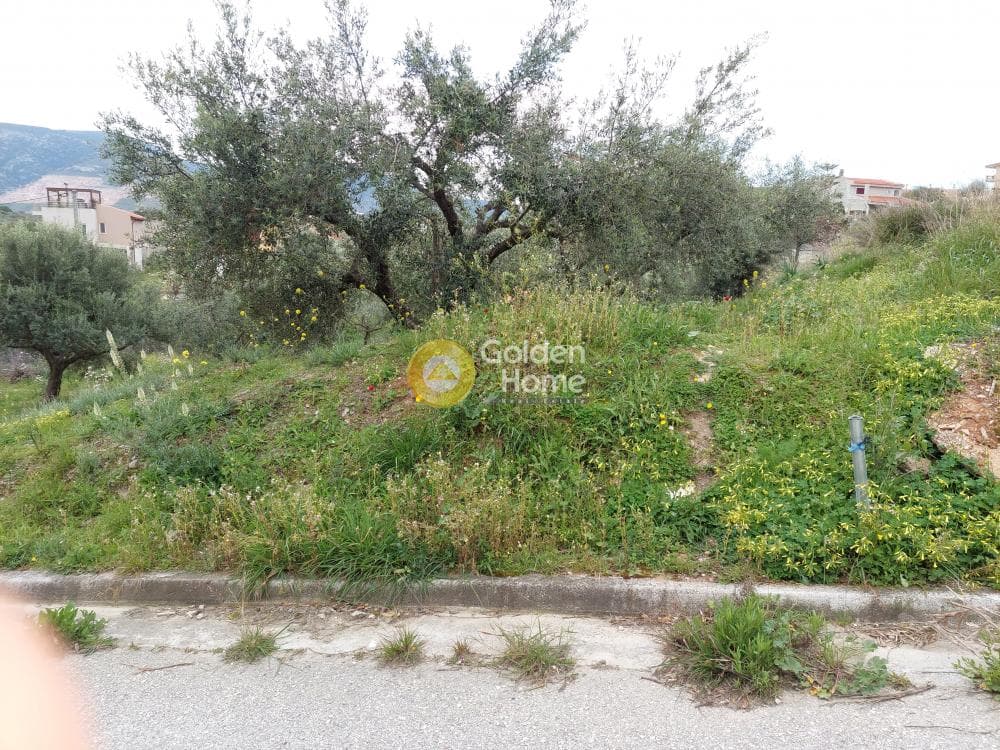Building Plot in Center, Markopoulo — Photo 4 of 20