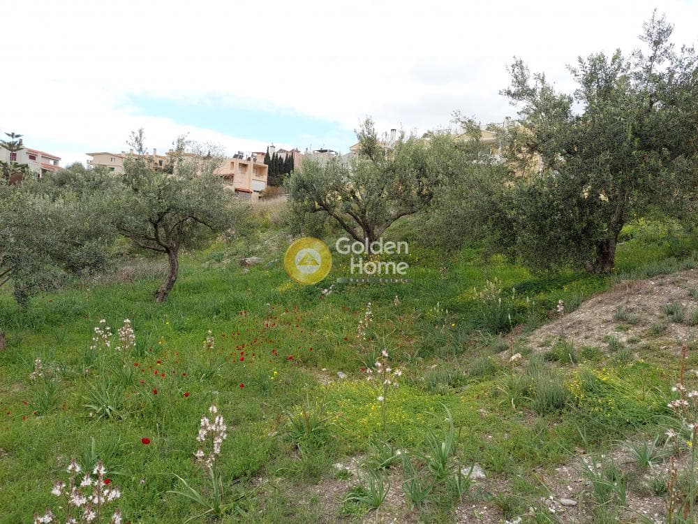 Building Plot in Center, Markopoulo — Photo 6 of 20