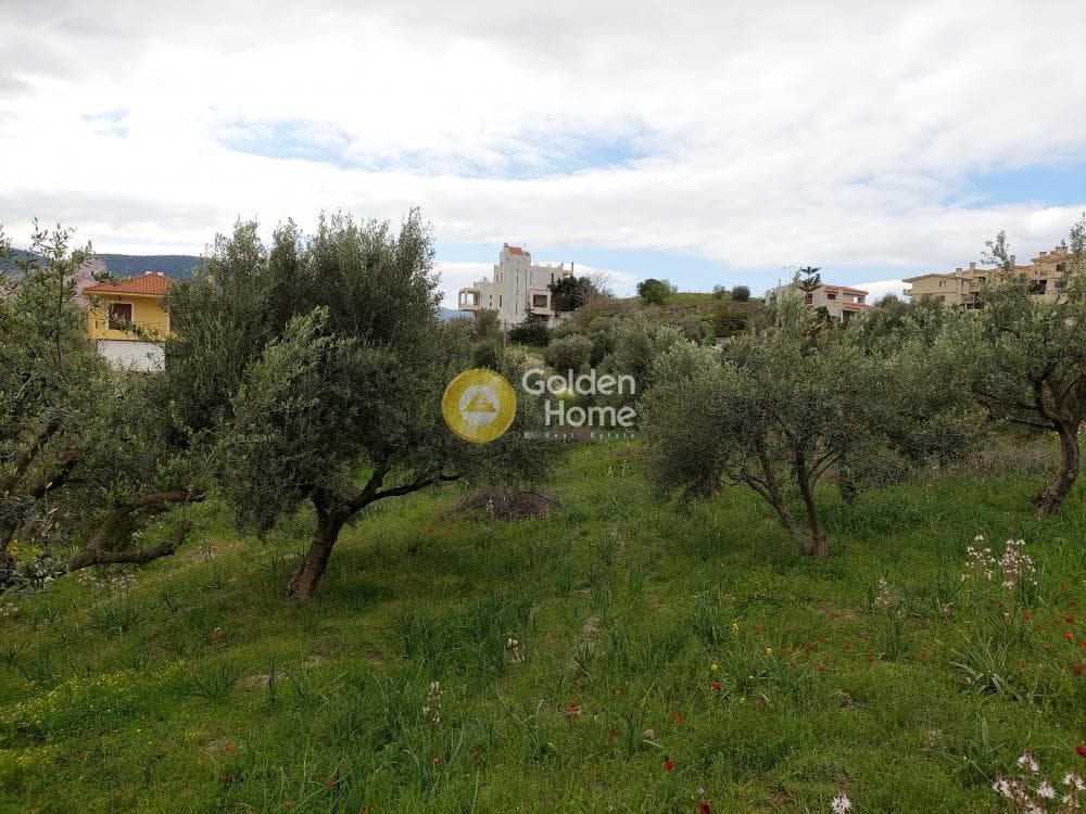 Building Plot in Center, Markopoulo — Photo 7 of 20