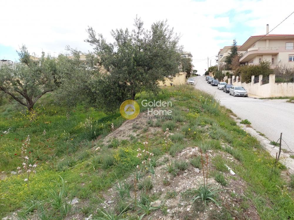 Building Plot in Center, Markopoulo — Photo 8 of 20