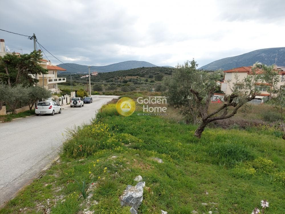 Building Plot in Center, Markopoulo — Photo 9 of 20