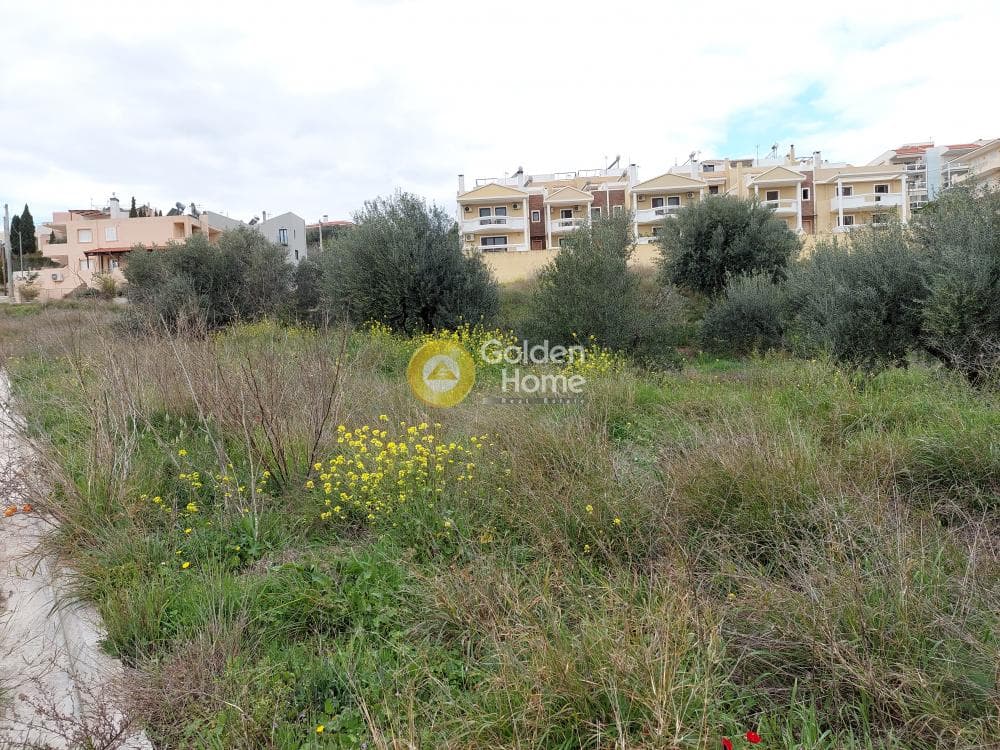 Building Plot in Center, Markopoulo — Photo 12 of 20