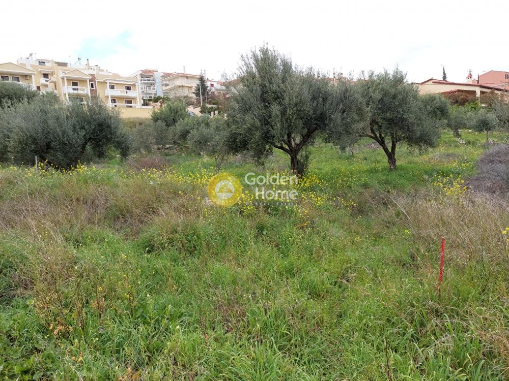Building Plot in Center, Markopoulo — Photo 13 of 20