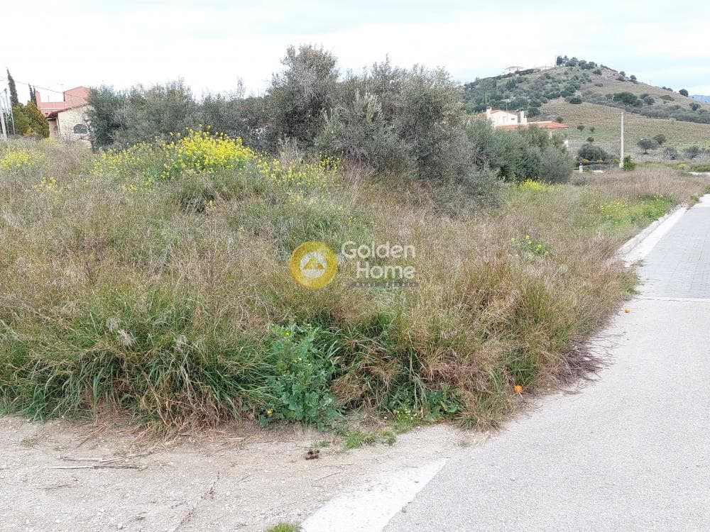Building Plot in Center, Markopoulo — Photo 14 of 20