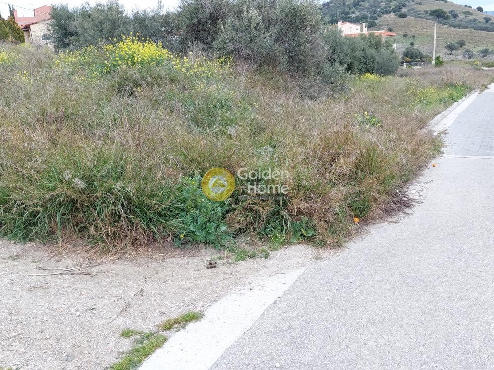 Building Plot in Center, Markopoulo — Photo 15 of 20