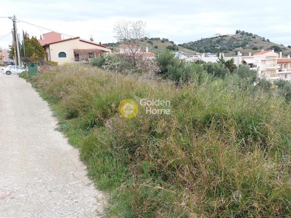 Building Plot in Center, Markopoulo — Photo 16 of 20